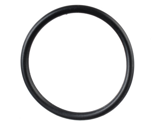 Proto SLG 020 BN70 Back Cap O-Ring (R10200128)