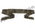 Exalt Camouflage Headband - Bark V