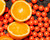 HK Army Citrus Crush 2,000 Round Paintball Case ( .68 Caliber ) (Orange Citrus Scented)