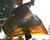 JT ProFlex Paintball Mask - Ice Series Brown w/ Bronze Gradient Lens