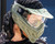 HK Army HSTL Single Paintball Mask - Olive w/ Clear Lens