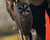 Carbon CRBN DRV 250 Paintball Loader - GRX Fracture Gold