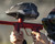 Carbon CRBN DRV Paintball Loader - GRX Modcam Urban