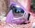 V-Force Profiler 2.0 Paintball Mask - Birthstone Edition - Alexandrite