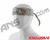 Full Clip Headband - Real Money