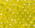 GELSTRIKE Gel Balls - 20,000 - Yellow