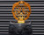 HK Army EVO TFX Metal Speed Feed - Gold
