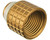 HK Army Tank Regulator Protection Kit - Gold