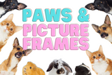 Paws and Picture Frames: Celebrating National Pet Day 2024