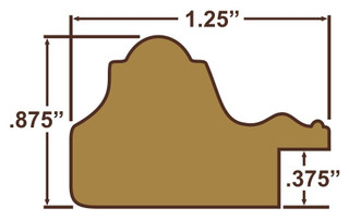 Ancien Ornate 1.25", Antique Black Matted Picture Frame