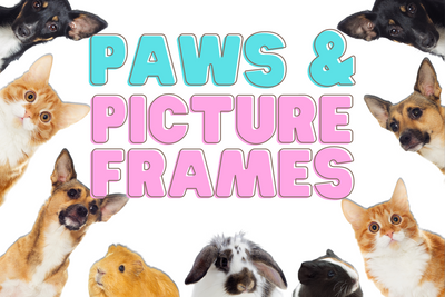 Paws and Picture Frames: Celebrating National Pet Day 2024