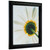 Wiltshire 130 1", Ebony Picture Frame