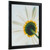 Wiltshire 200 .75", Ebony Picture Frame Wiltshire 200 .75", Ebony Picture Frame