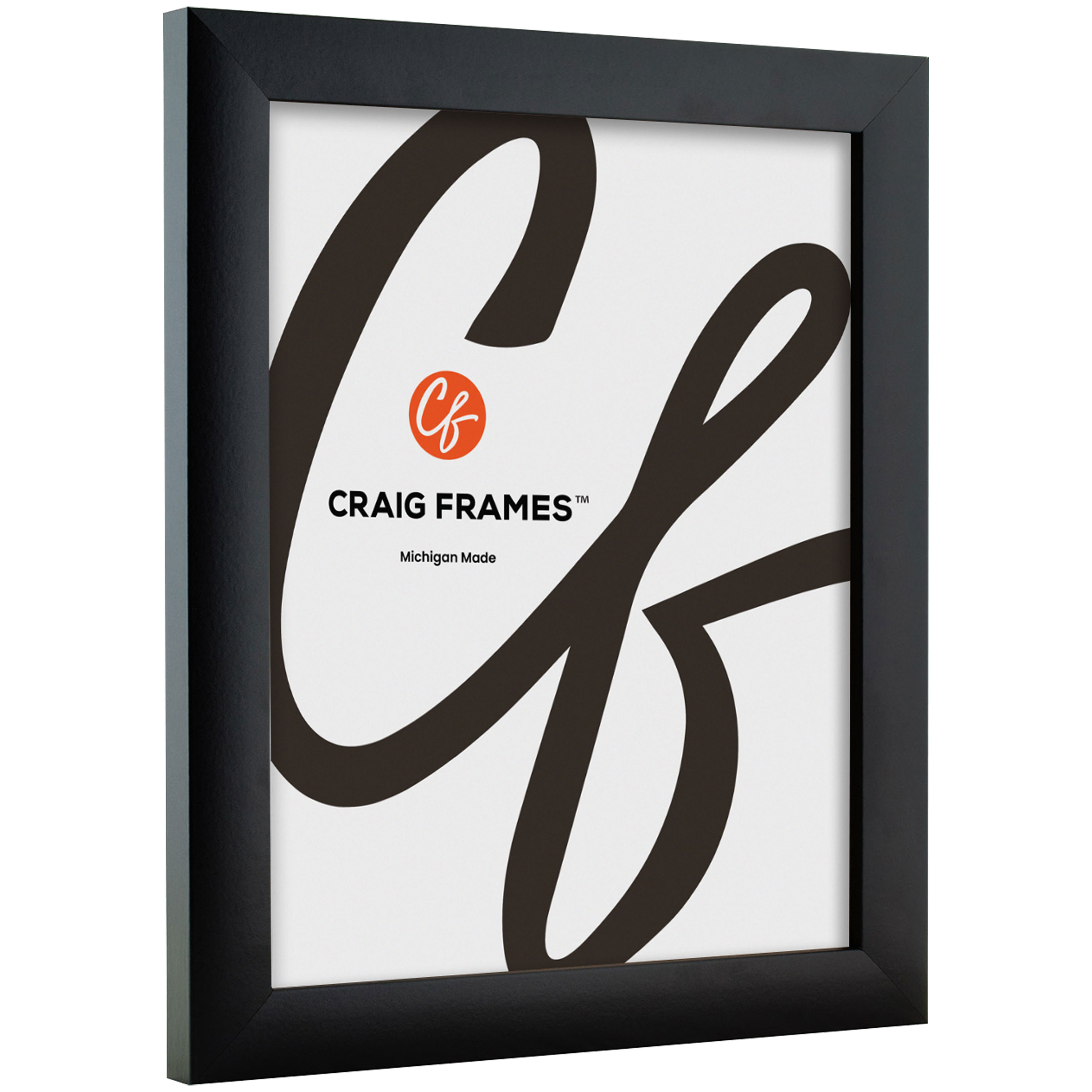 Shop Stylish Picture Frames for Every Space at Craig Frames - Your