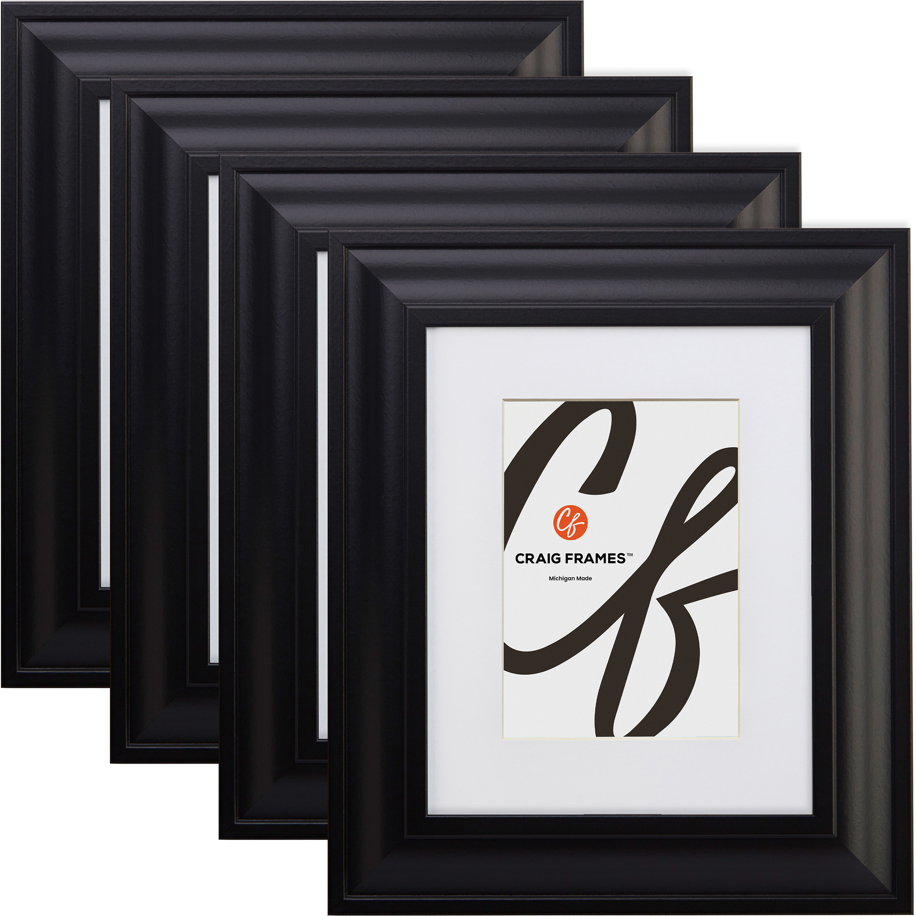 Contemporary Upscale Satin Black Matted Picture Frame - 4 Piece