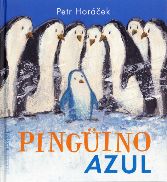 Pingüino azul / Blue Penguin