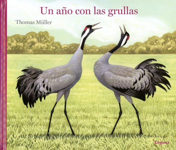 Un año con las grullas / A Year with the Storks