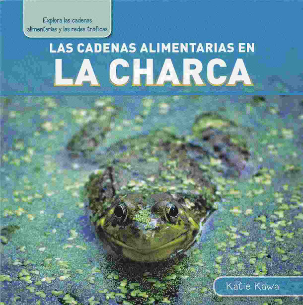 Las cadenas alimentarias en la charca - Pond Food Chains