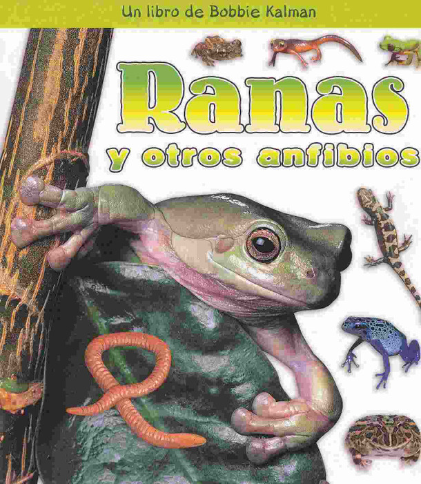 Ranas y otros anfibios Cover