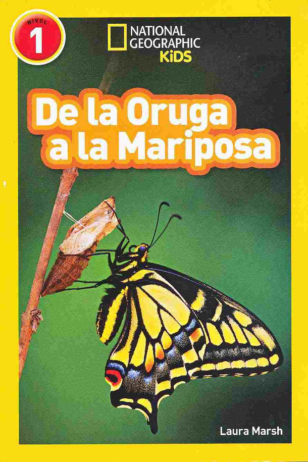 De oruga a mariposa Cover