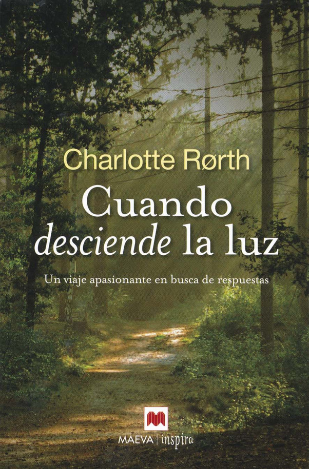 Cuando desciende la luz - I Met Jesus