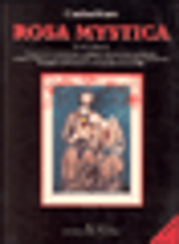 Rosa mystica - Mystic Rose