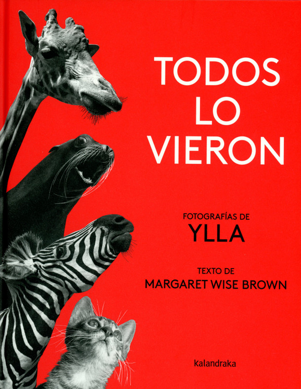 Todos lo vieron / They All Saw It