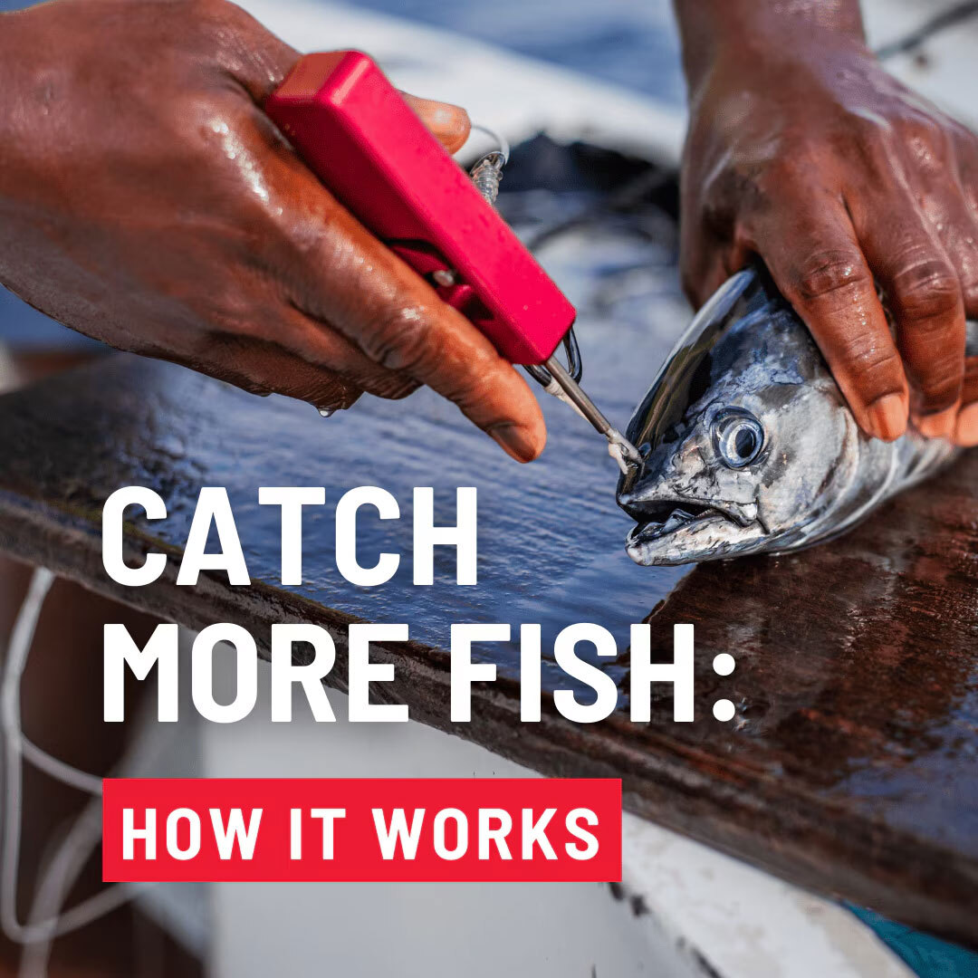Bridle-Buddy - Catch More Fish : How It Works!