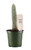 FlowerPotNursery Old Man Cactus Cephalocereus senilis 4" Pot