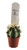 FlowerPotNursery Horse Crippler Cactus Echinocactus texensis 2" Pot