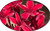 FlowerPotNursery Scott Pratt Plumeria Frangipani r. SP. Bare Root 18 inches Tall