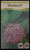 FlowerPotNursery Pentas Starburst Pentas lanceolata Starburst 4” Pot