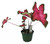 FlowerPotNursery Freida Hemple Caladium Caladium Freida Hemple 6" Pot