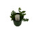 FlowerPotNursery Trailing Maidenhair Fern Adiantum caudatum 4" Pot