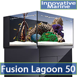 cat-fusion-50-lagoon.jpg