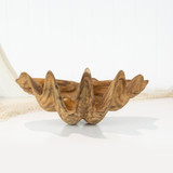 Wooden Clam Shell 50cm