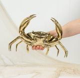 Mud Crab (XXL) Gold  #0368