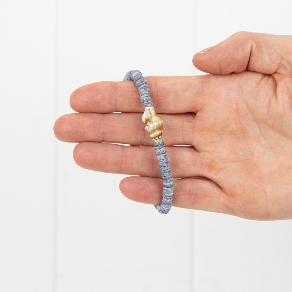 Bracelets Set x 4 -Trumpet Shell