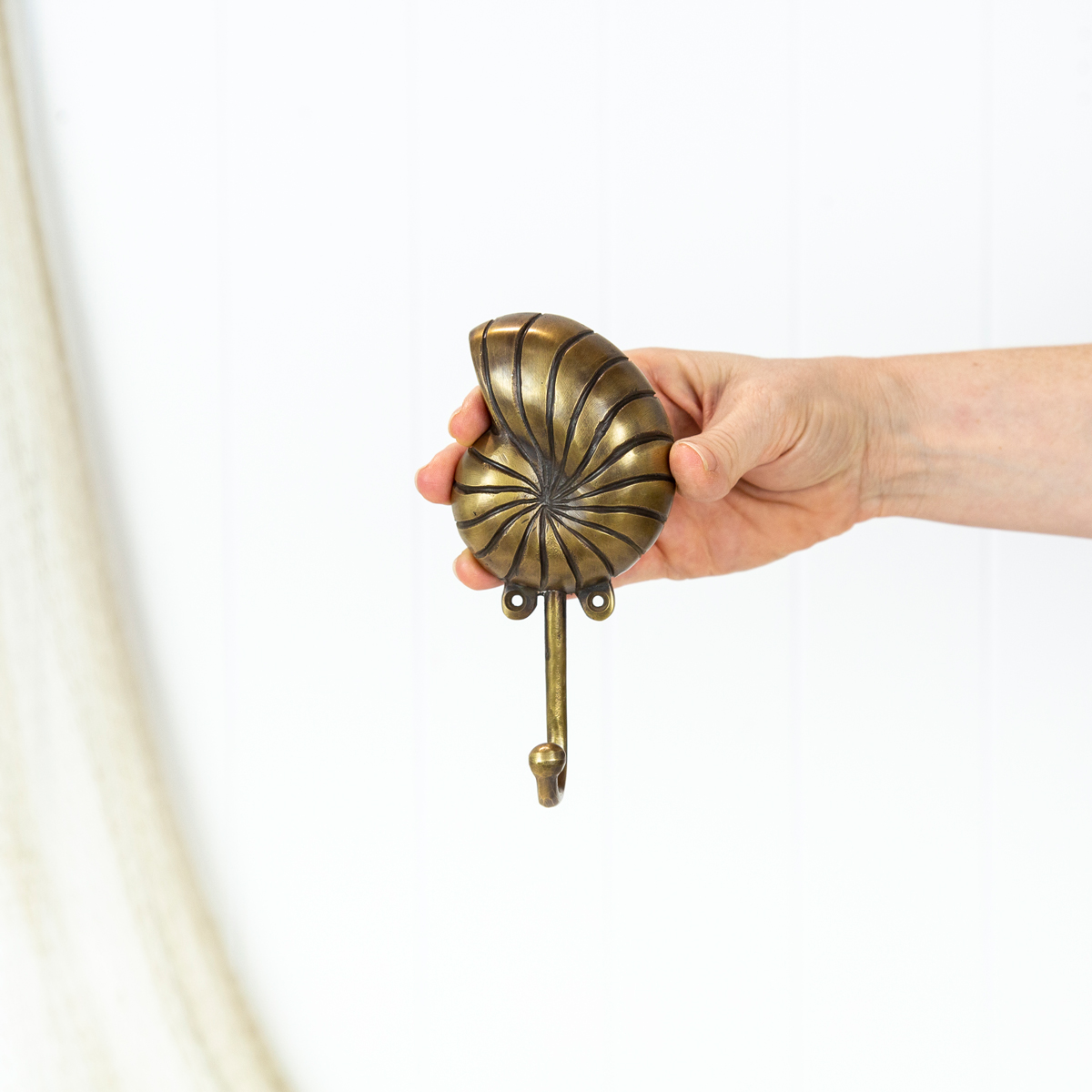 Nautilus Shell Hook - Dark #0305*