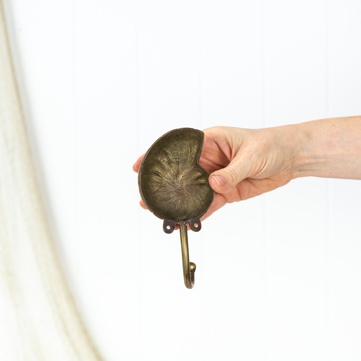 Nautilus Shell Hook - Dark #0305*