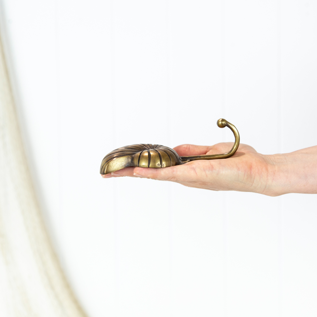 Nautilus Shell Hook - Dark #0305*