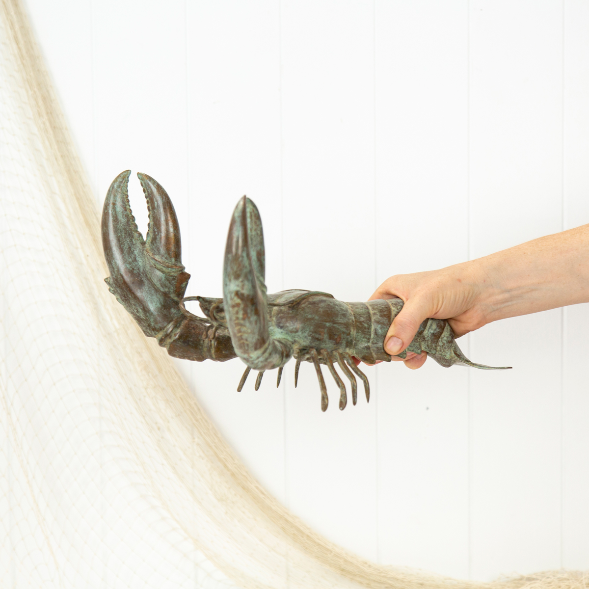 Lobster (L) - Aged  #079