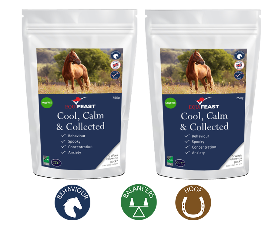 Cool, Calm & Collected Calcium Horse Calmer