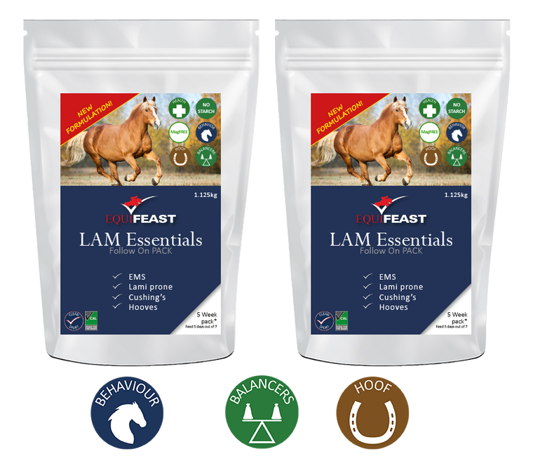 LAM Essentials Follow-On Packs (minimum order two packs)