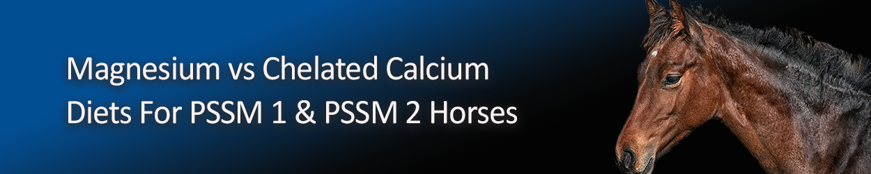 magnesium-vs-chealted-calcium-diets-for-pssm-1-2-horses.png