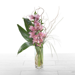 Orchid Elegance - Pink