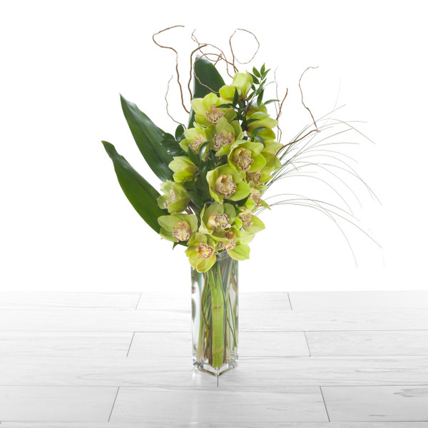 Orchid Elegance - Green