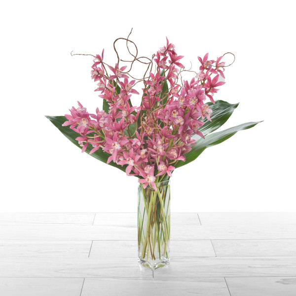 Orchid Abundance - Pink