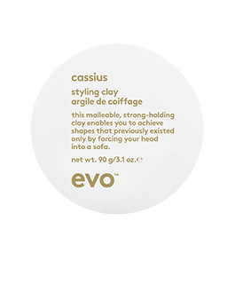 evo Cassius Styling Clay 90g - New