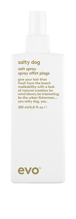 evo Salty Dog Salt Spray 200ml GF evo Salty Dog Salt Spray 200ml GF